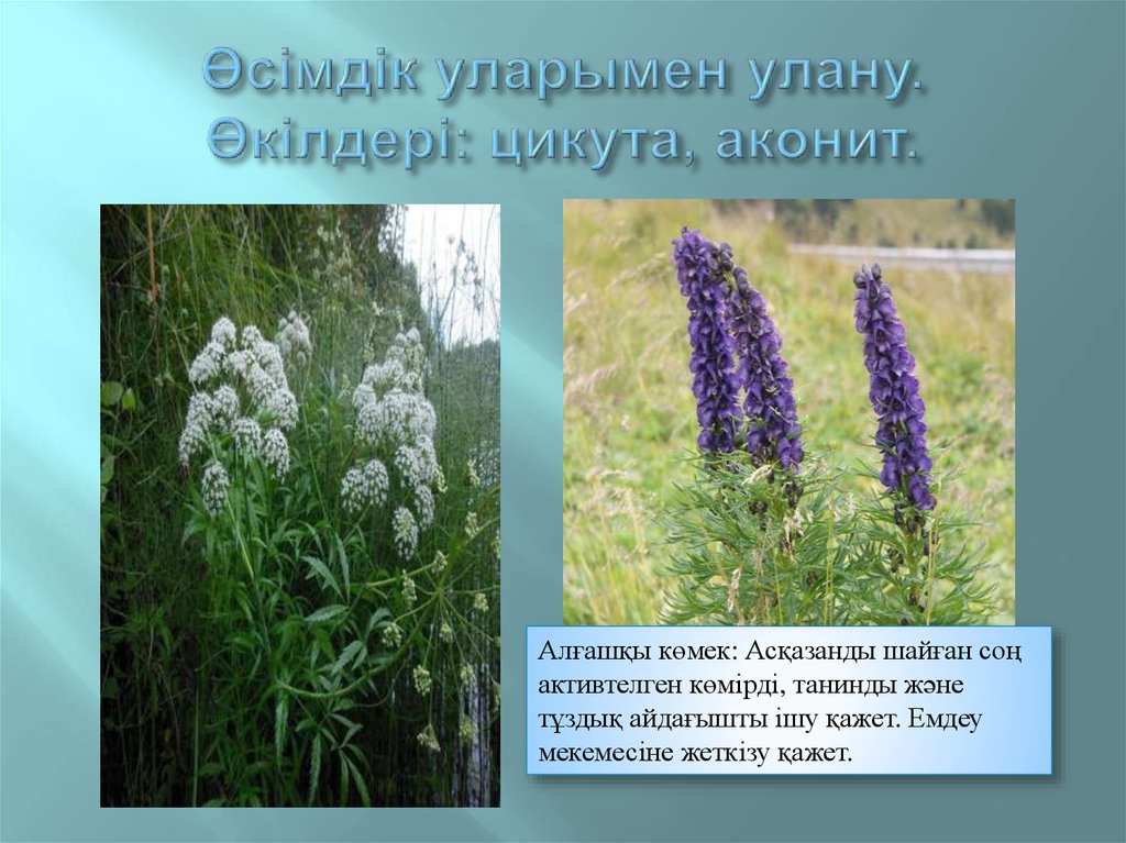 Улану түрлері - презентация онлайн