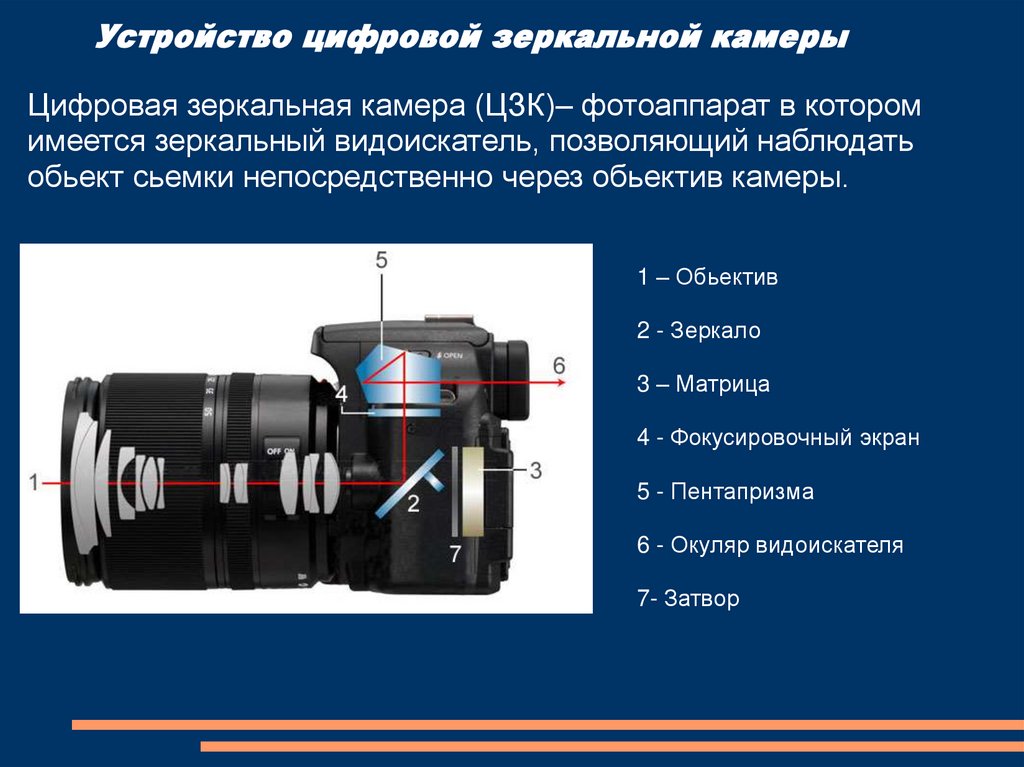 Что значит передняя камера зеркально. Зеркальный фотоаппарат снизу. Устройство зеркального фотоаппарата. Устройство цифрового зеркального фотоаппарата. Устройство цифровой зеркальной камеры.