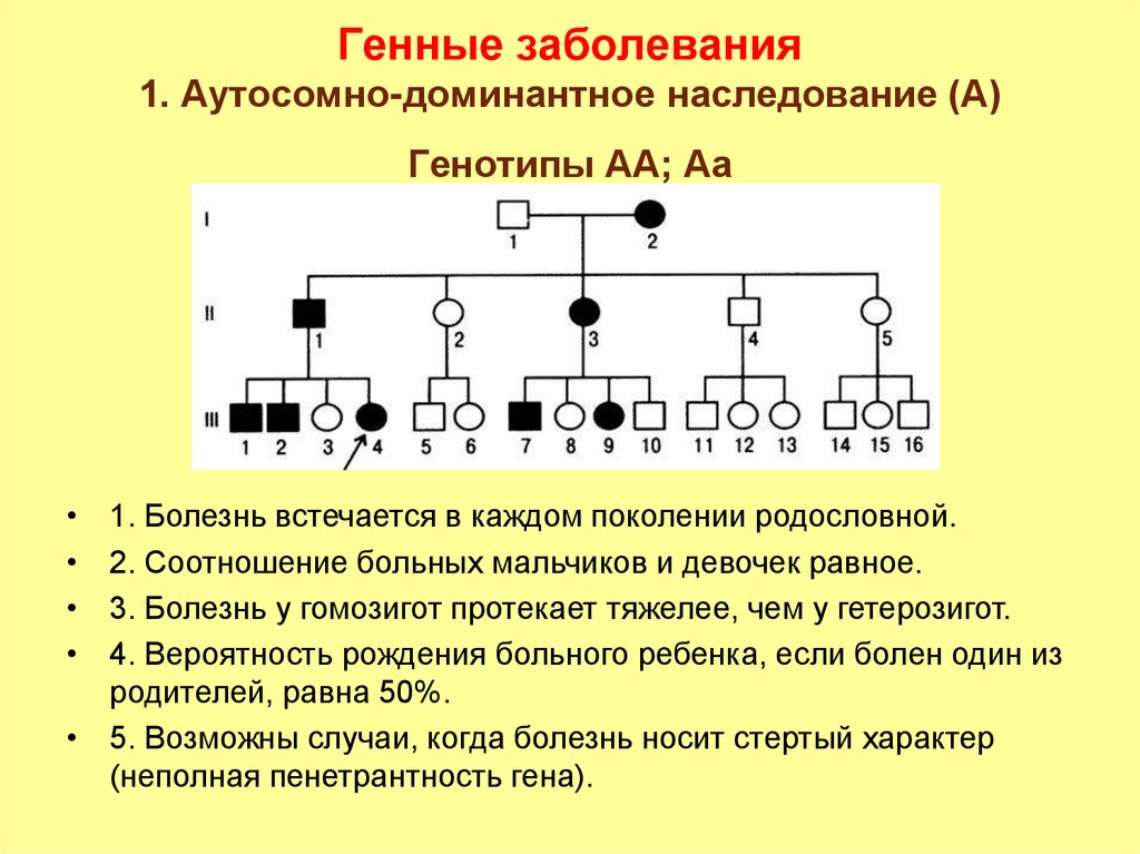 Аутосомно доминантное наследование заболеваний. Схема родословной на аутосомно-доминантный Тип наследования. Аутосомно-доминантный Тип наследования задачи с решением.