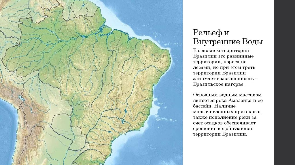 Реферат: География Бразилии: население, рельеф, климат, растительный и животный мир