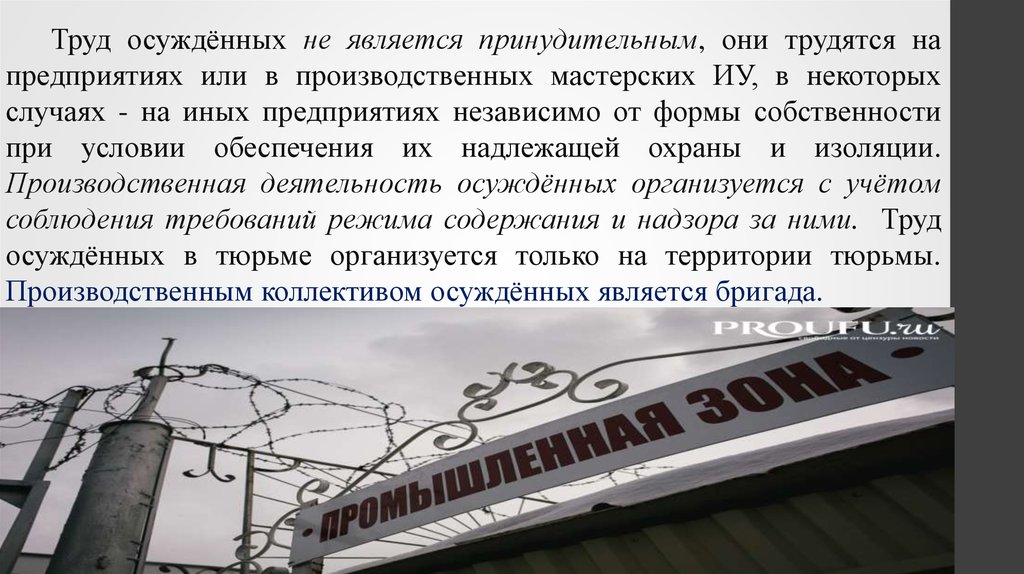 Какой труд не является принудительным. Труд осужденных. Труд осужденных к лишению свободы. Беседы с осужденными к принудительным работам. Какой труд не считается принудительным.