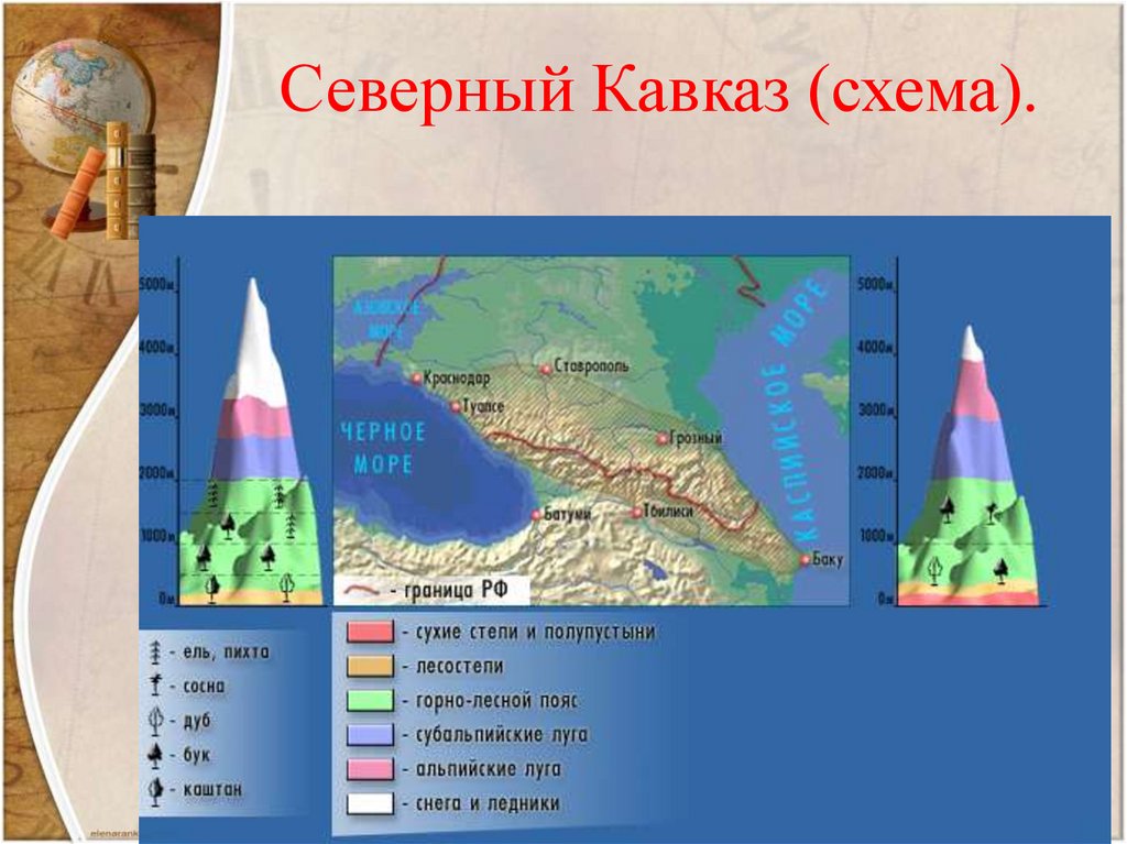 Природные зоны кавказа таблица
