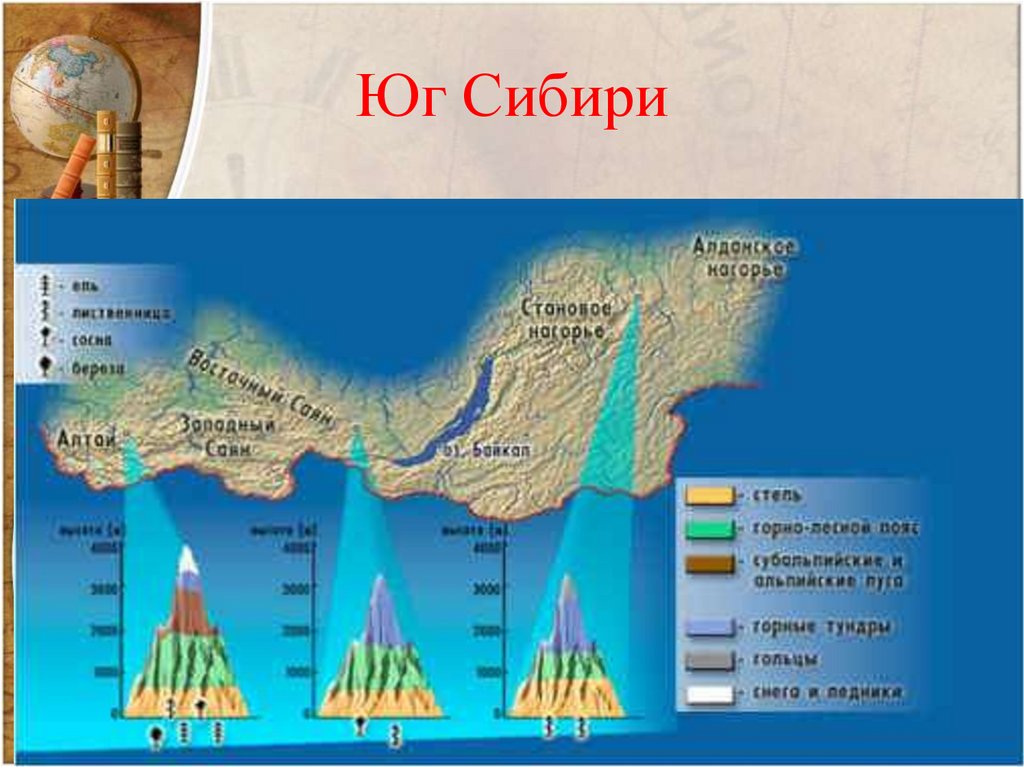 Горы южной сибири какая природная зона. Высотная поясность Урала и гор Южной Сибири. Высотная поясность гор Южной Сибири схема. Горы Южной Сибири Высотная поясность. Горы Юга Сибири Высотная поясность.