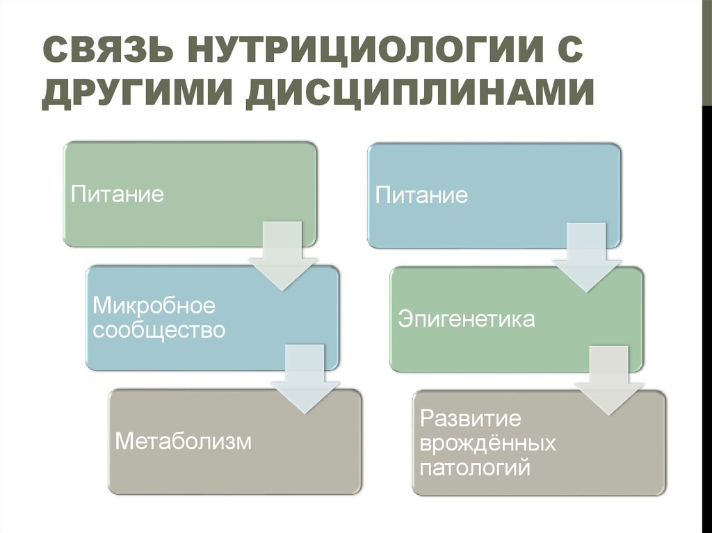 План изучения нутрициологии