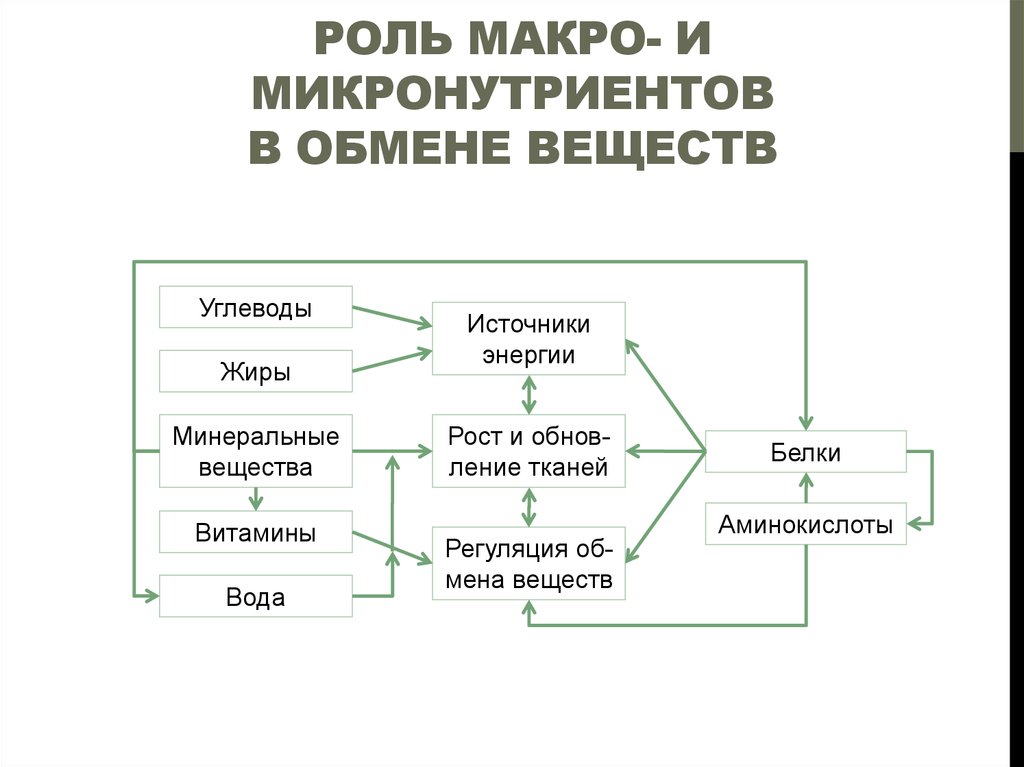 План изучения нутрициологии