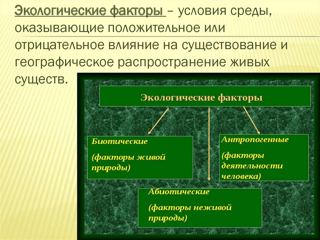 Экологические факторы абиотические примеры