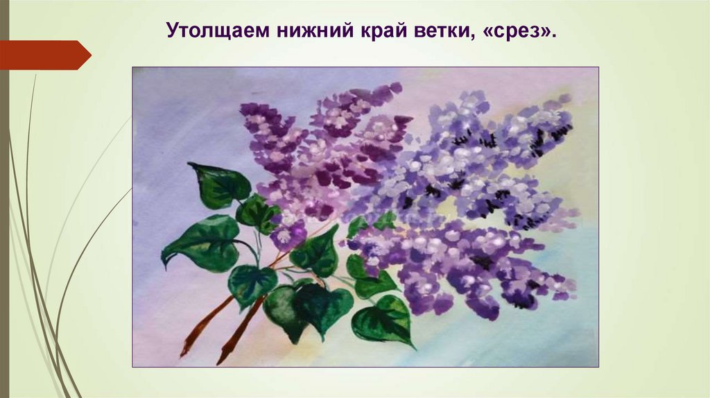 Рисуем куст сирени гуашью