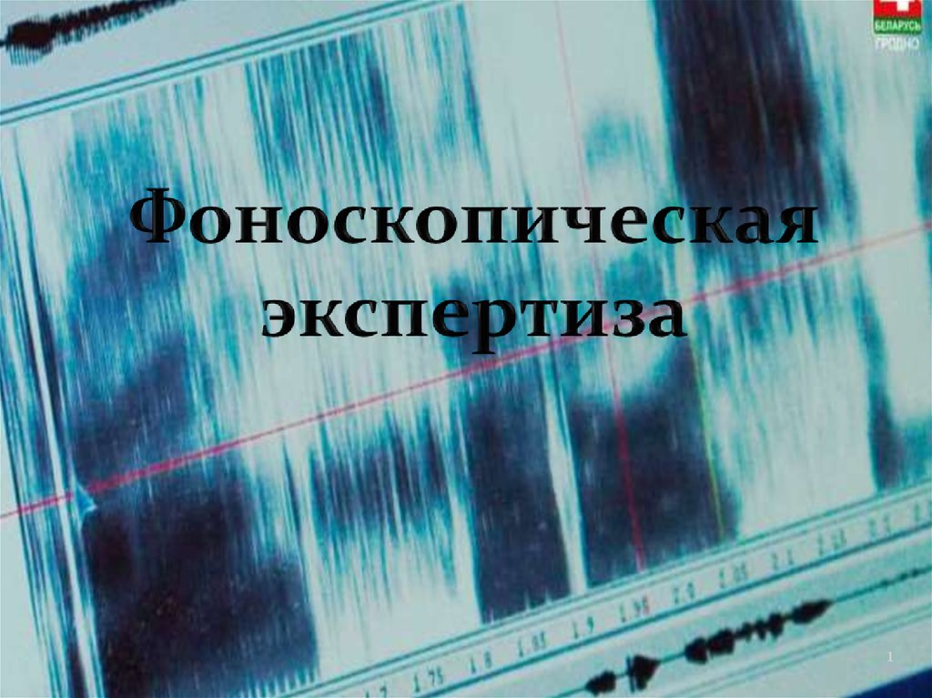 Фоноскопическая экспертиза. Судебная фоноскопическая экспертиза. Задачи фоноскопической экспертизы. Фоноскопическая экспертиза презентация.