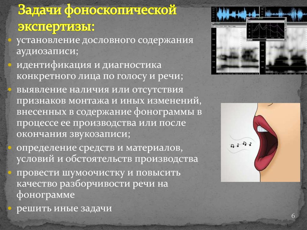 Выявление наличия. Фоноскопическая экспертиза. Содержание фоноскопической экспертизы.. Классификация фоноскопической экспертизы. Судебная фоноскопическая экспертиза.