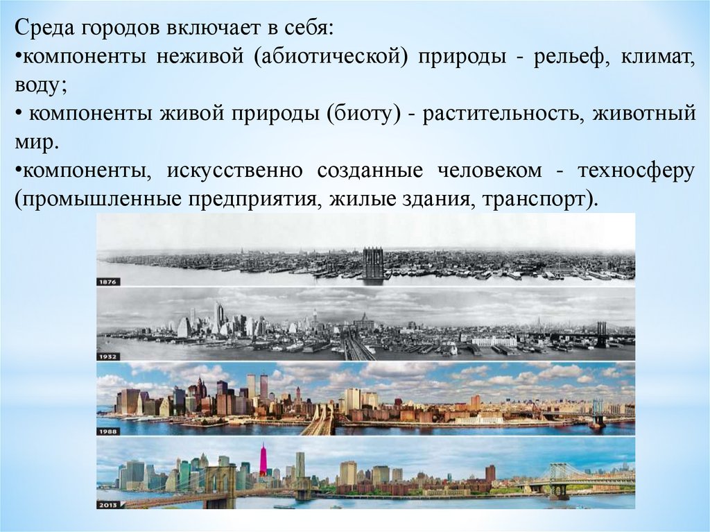 Экология города презентация