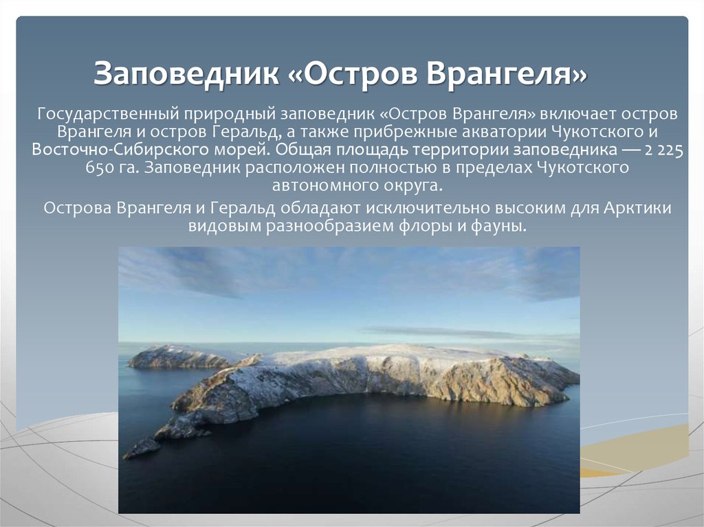 Природное наследие остров врангеля. Объект Всемирного наследия остров Врангеля. Природная система заповедника «остров Врангеля». Остров Врангеля в Чукотском море. Остров Врангеля, государственный природный запове.