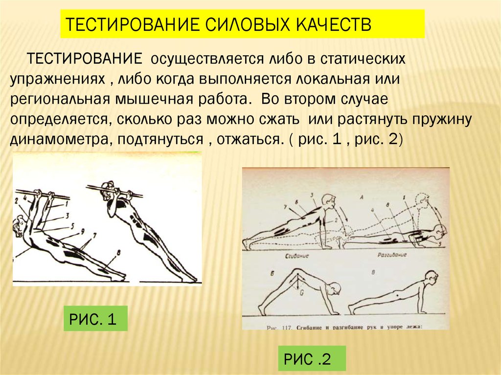 Биомеханика в баскетболе презентация