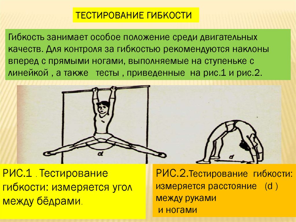 Методы исследования в биомеханике презентация