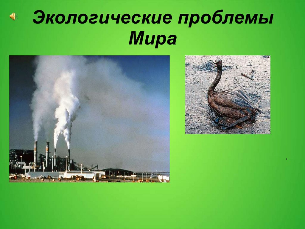 Проблемы экологии 10 класс английский. Экологические проблемы. Проблемы экологии. Экологические проблемы современности.