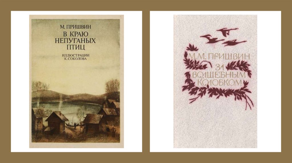 Пришвин за волшебным. В краю непуганых птиц пришвин. Пришвин в краю напуганных птиц. Книга в краю непуганых птиц пришвин.