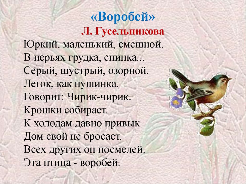 Читать стих воробей воробей. Стих про воробья. Стихотворение про воробья для детей. Детский стишок про воробья. Детское стихотворение про воробья.