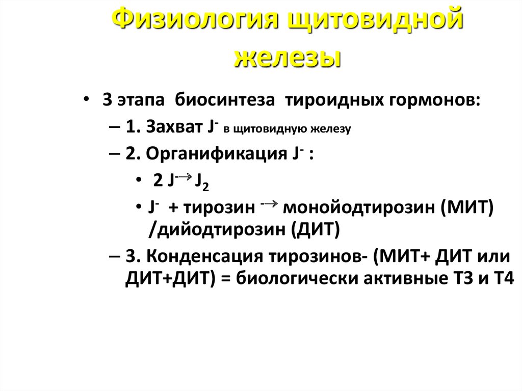 Презентация по физиологии щитовидная железа