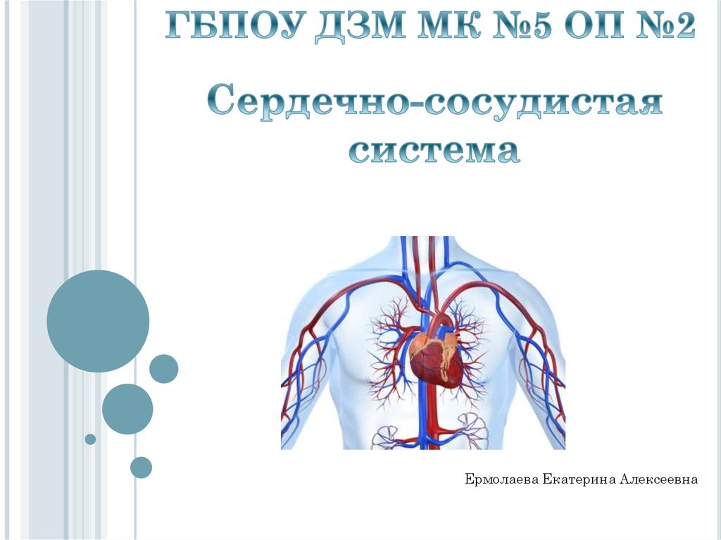 Сосудистая система презентация