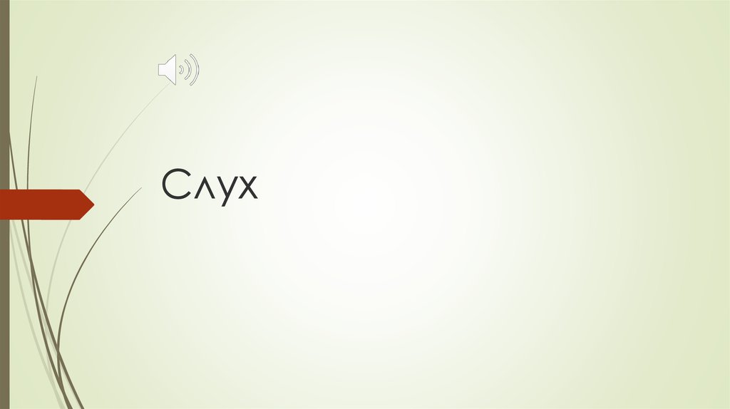 Слух