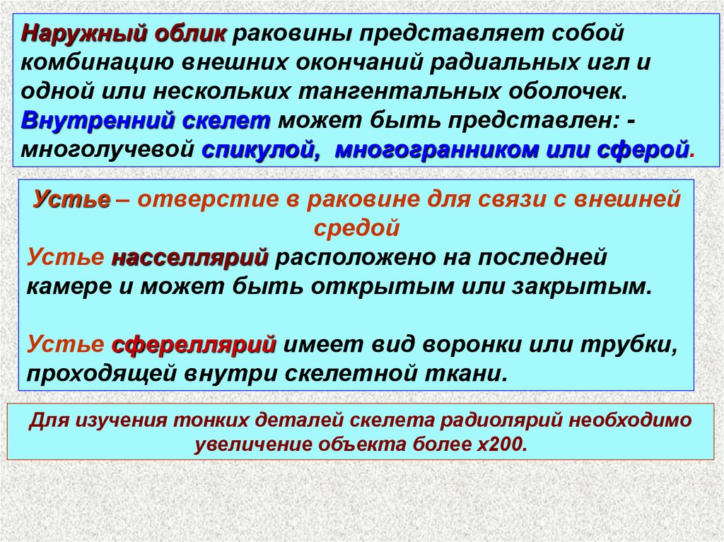 Представляет собой сочетание. Hейролептаналгезия представляет собой сочетание:. Сфереллярий.