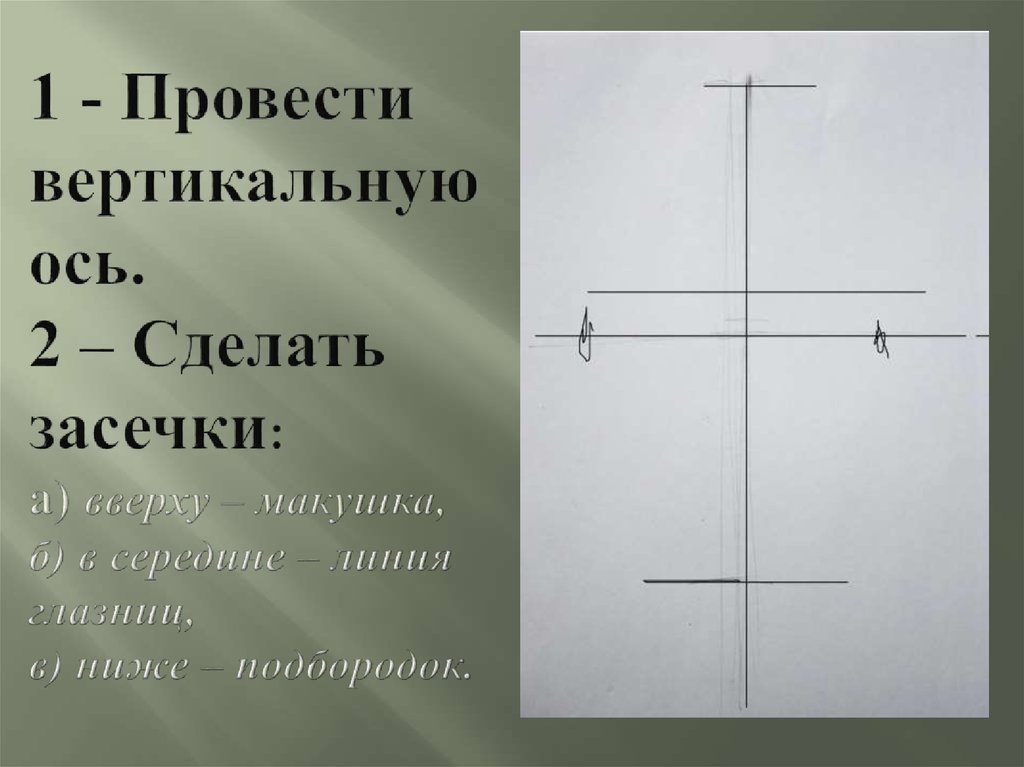 Провести вертикальный. Вертикальная ось. Линия с засечками. Линия середины. Делают засечки.