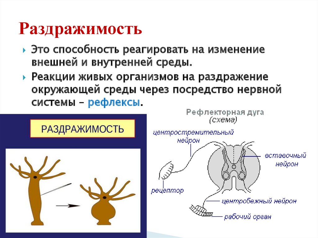 Признаки живого биологические науки