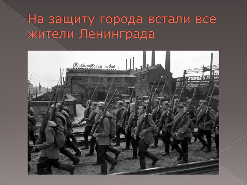 На защиту города встали все жители Ленинграда