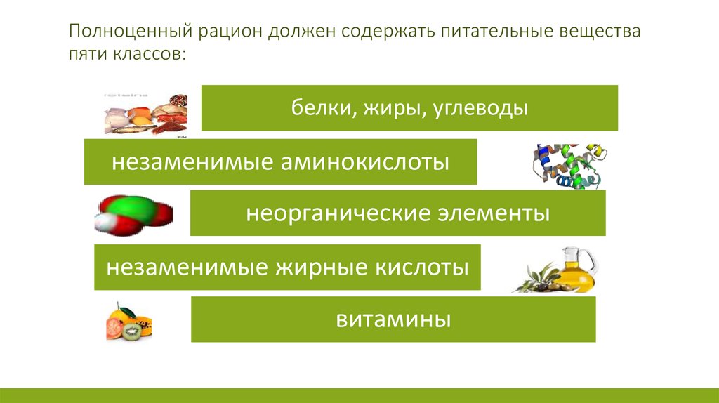 Нужно содержать. Питательные вещества рацион. Рацион питания должен содержать. Рацион питания и какие питательные вещества входят. Незаменимые компоненты пищевого рациона это.