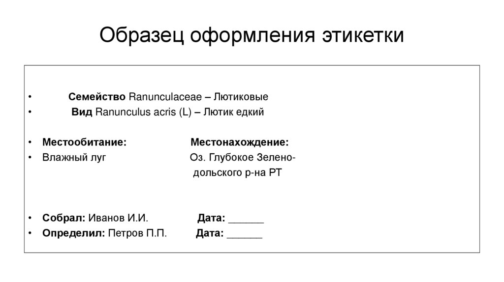 Как подписывать гербарий образец