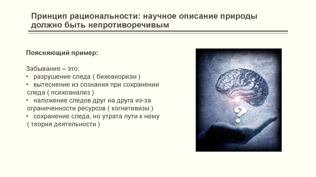 Научная рациональность. Научное описание. Понятие рациональности. Принципы научной рациональности. Научная рациональность это в философии.