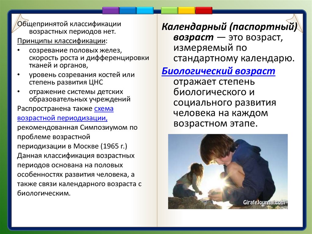 Возрастной принцип. Общепризнанная классификация возрастной группы детей. Классификация возрастной половой характеристики людей.