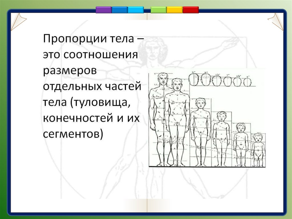 Презентация рост и развитие ребенка