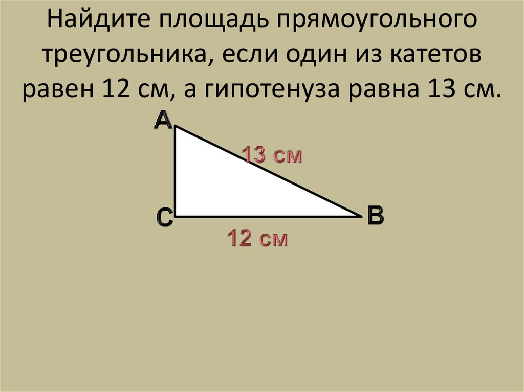 Катет прямоугольного треугольника равен 10 см