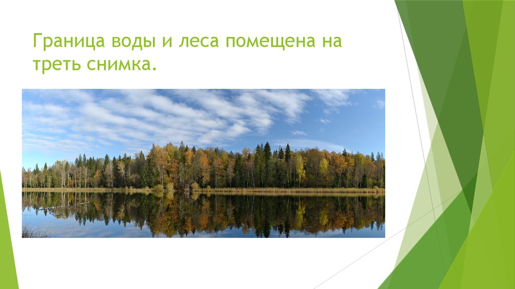 Граница воды и леса помещена на треть снимка.