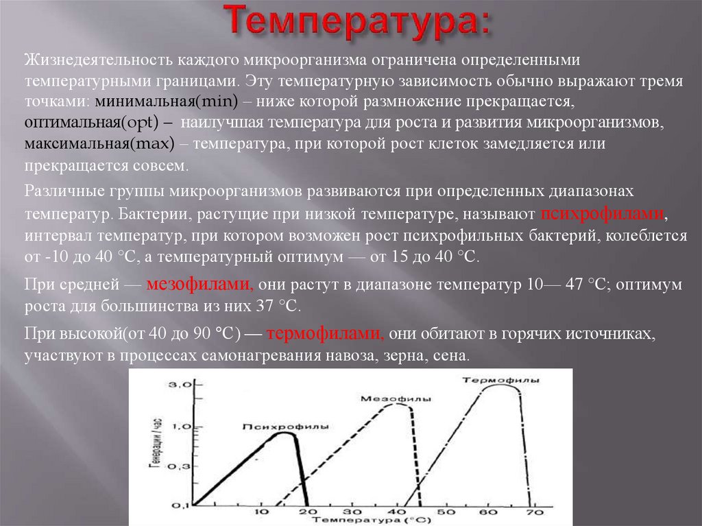 Оптимальная температура для микроорганизмов. Влияние температуры на бактерии. Влияние температурных факторов на развитие микроорганизмов. Влияние температуры на микроорганизмы. Температурные границы роста микроорганизмов.