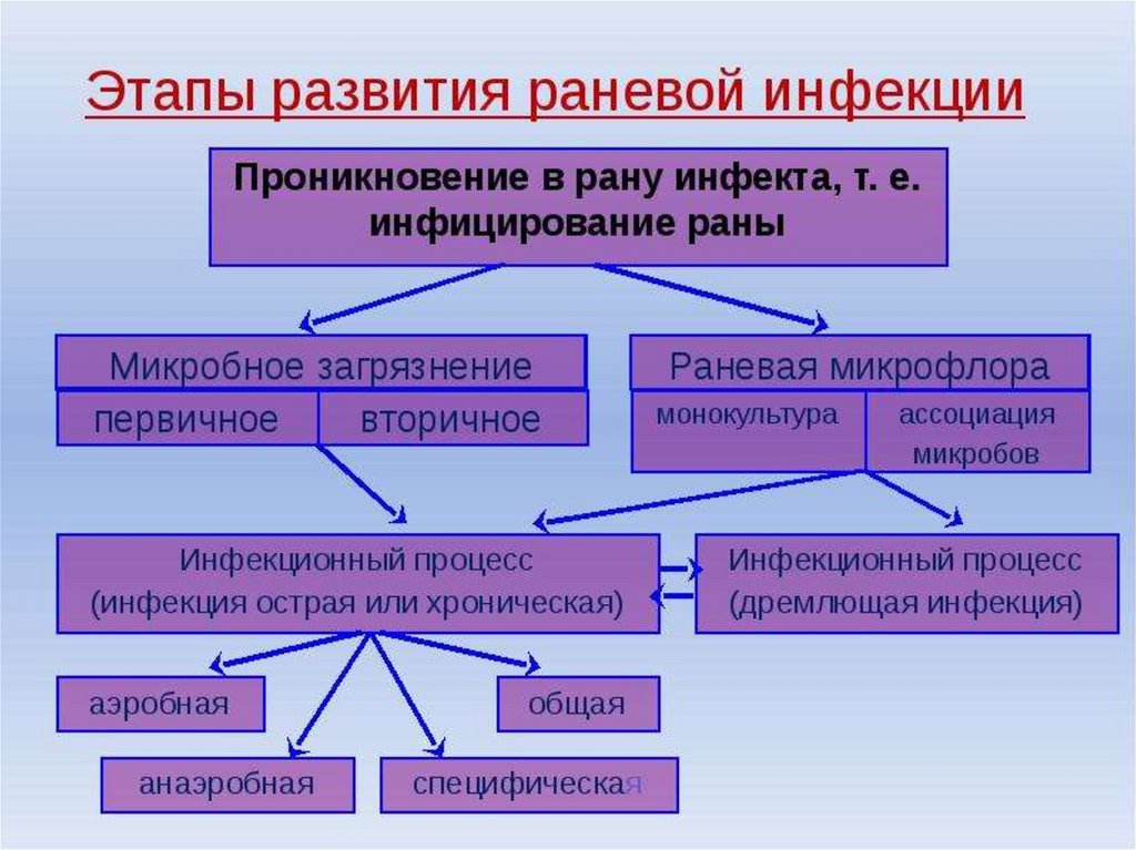 Инфекционные алгоритмы