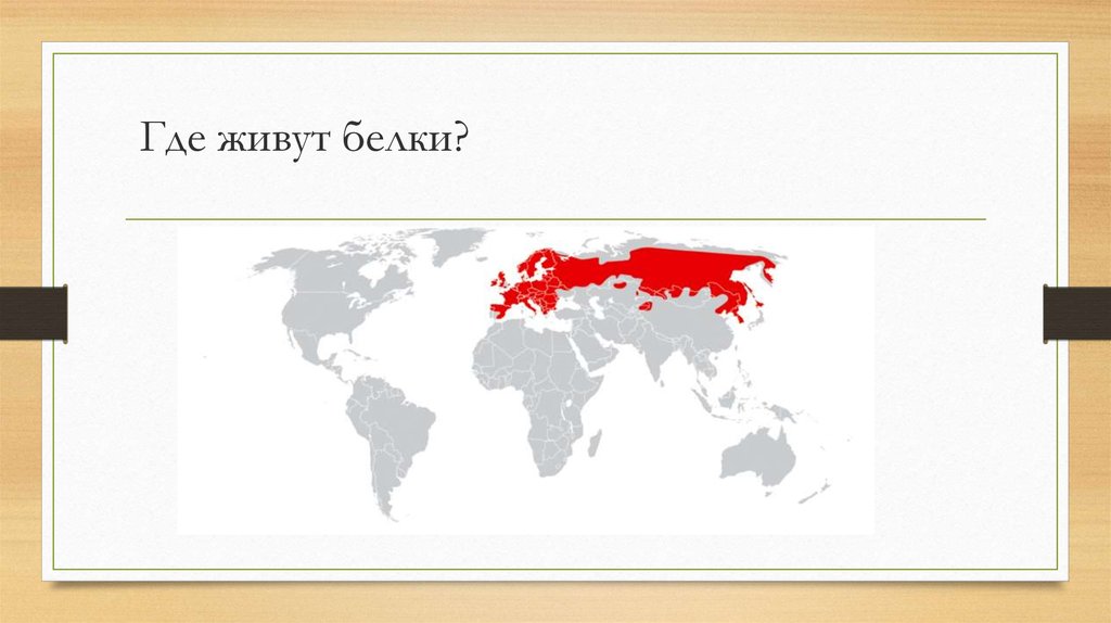 Где проживает. Белка ареал обитания. Где обитает белка карта. Место обитания белки. Белка ареал обитания на карте России.