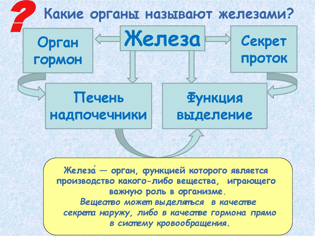 Как называется железа. Железа орган. Какие органы называют железами. Какие органы выделяют секреты. Железа это орган функцией которого является.