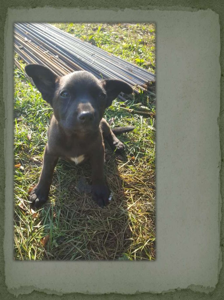 Все под надежной охраной