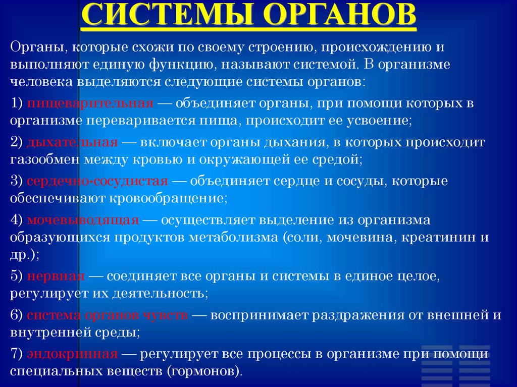 Единый план строения органов. Общие сведения о строении. Общие сведения о человеке. Регулирующие системы организма человека. Строение организма человека вывод.