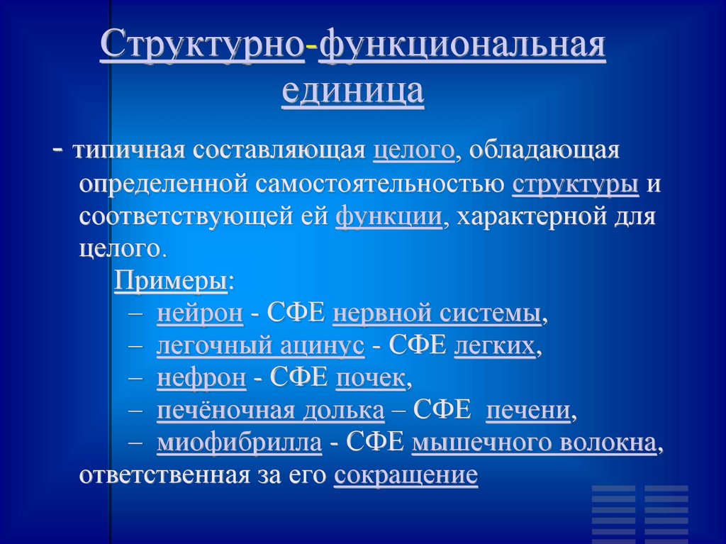 Структурными единицами составляющими вид являются. Структурно-функциональная единица. Структурно-функциональная единица органа. Структурные единицы органов. Структурно-функциональная единица воспаления.