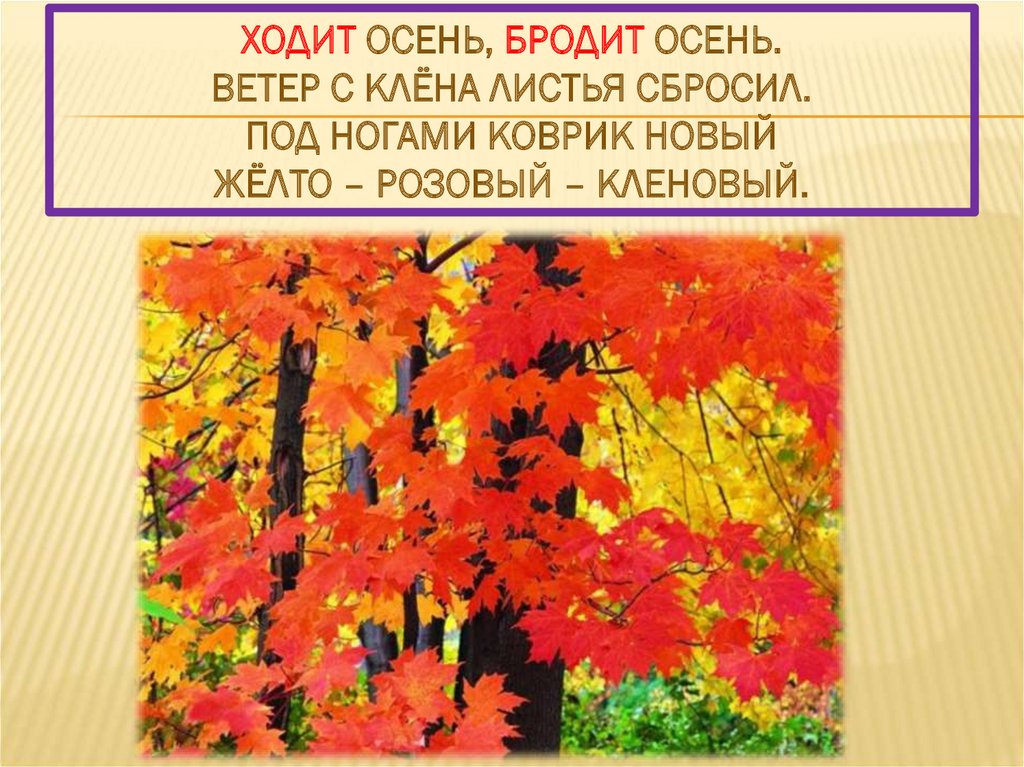 Ходит осень, бродит осень. Ветер с клёна листья сбросил. Под ногами коврик новый Жёлто – розовый – кленовый.