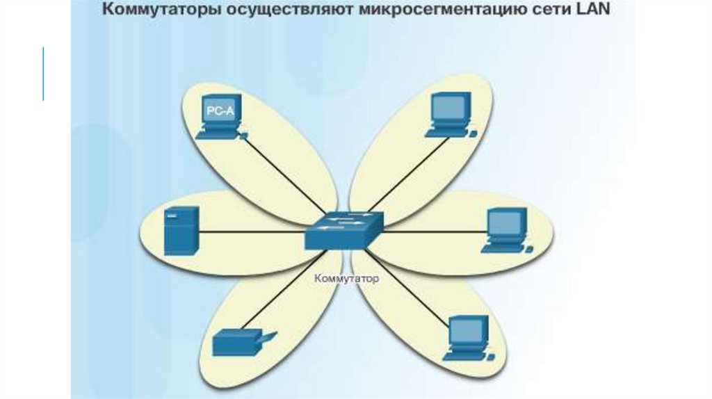 Сетевая организация осуществляет. Принципы организации сетей. Микросегментация сети. Что выполняет Микросегментацию локальной сети. Микросегментация в Ethernet сетях это.