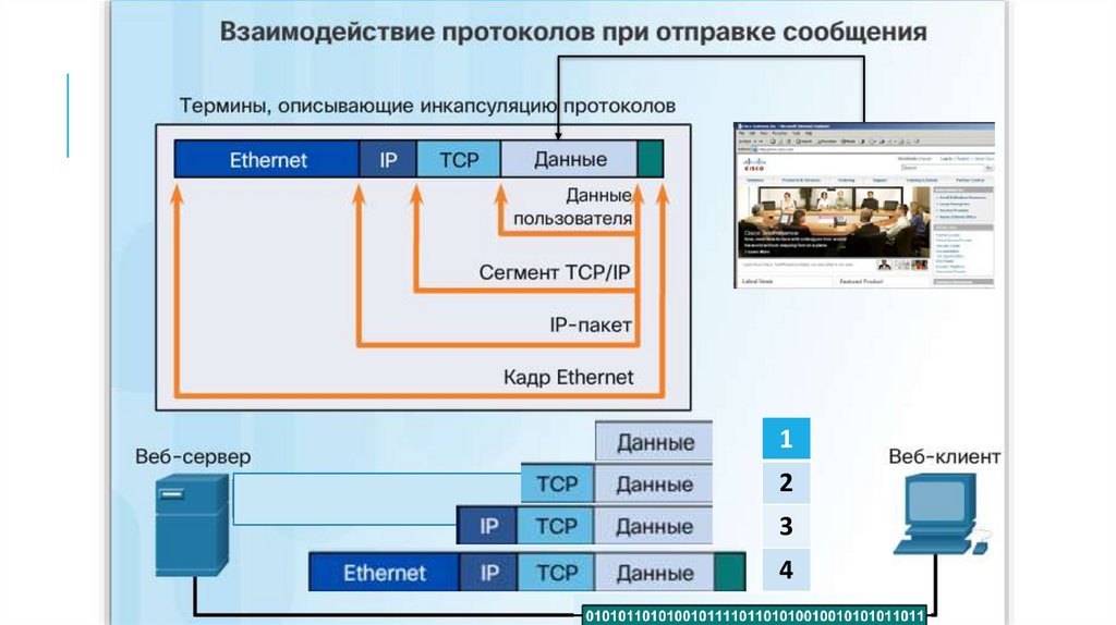 Протоколы взаимодействия. Принципы организации сетей. Кадры пакеты сегменты. Протоколы Ethernet таблица.