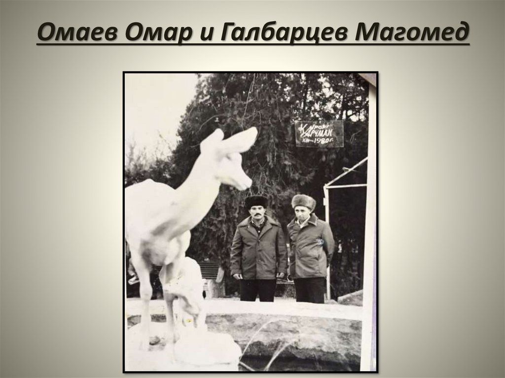 Омаев Омар и Галбарцев Магомед