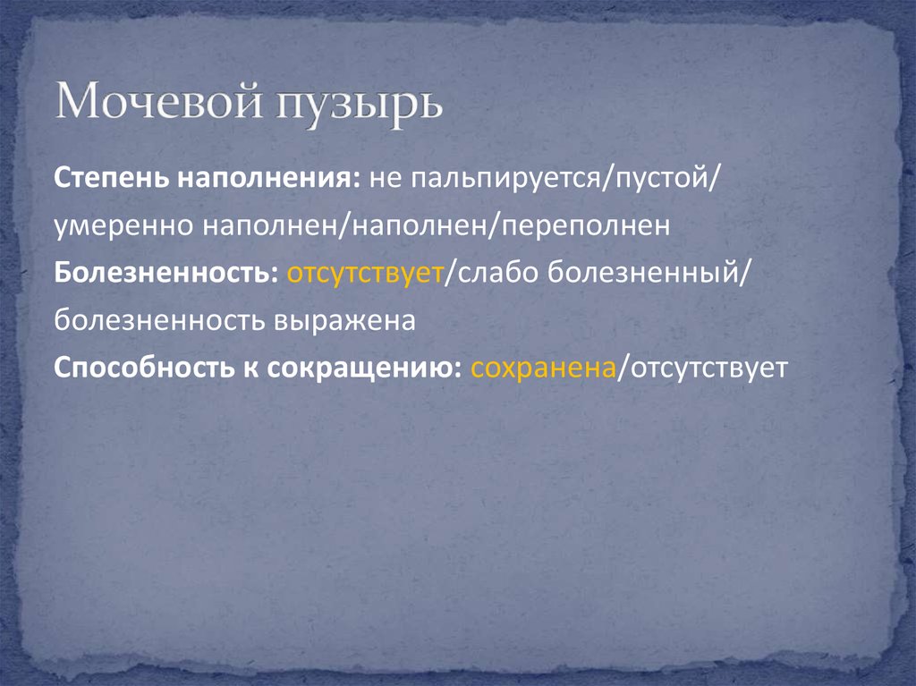 Мочевой пузырь