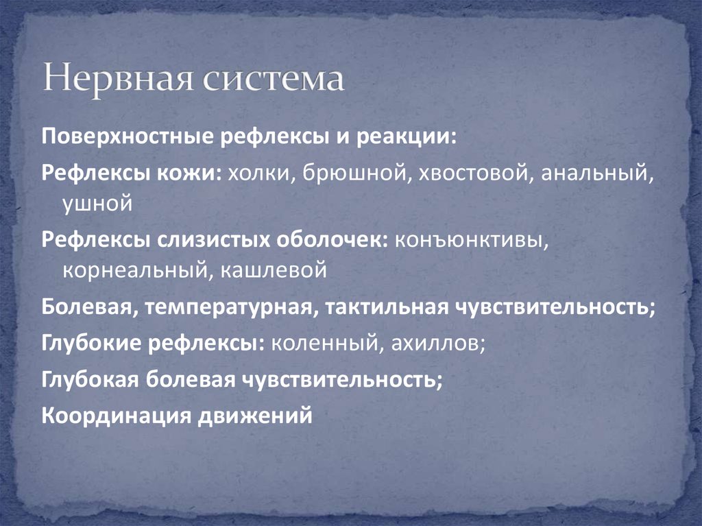 Нервная система