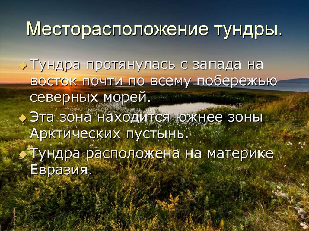 Зона тундры расположена на севере россии. Месторасположение тундры. Тундра протянулась.