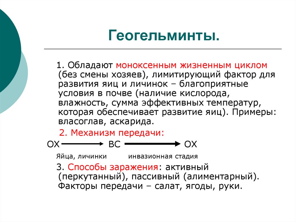 К геогельминтам относятся