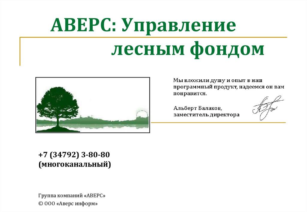 Аверс лесная декларация. Аверс программа Лесное хозяйство. Аверс информ. Управление лесным фондом кратко.